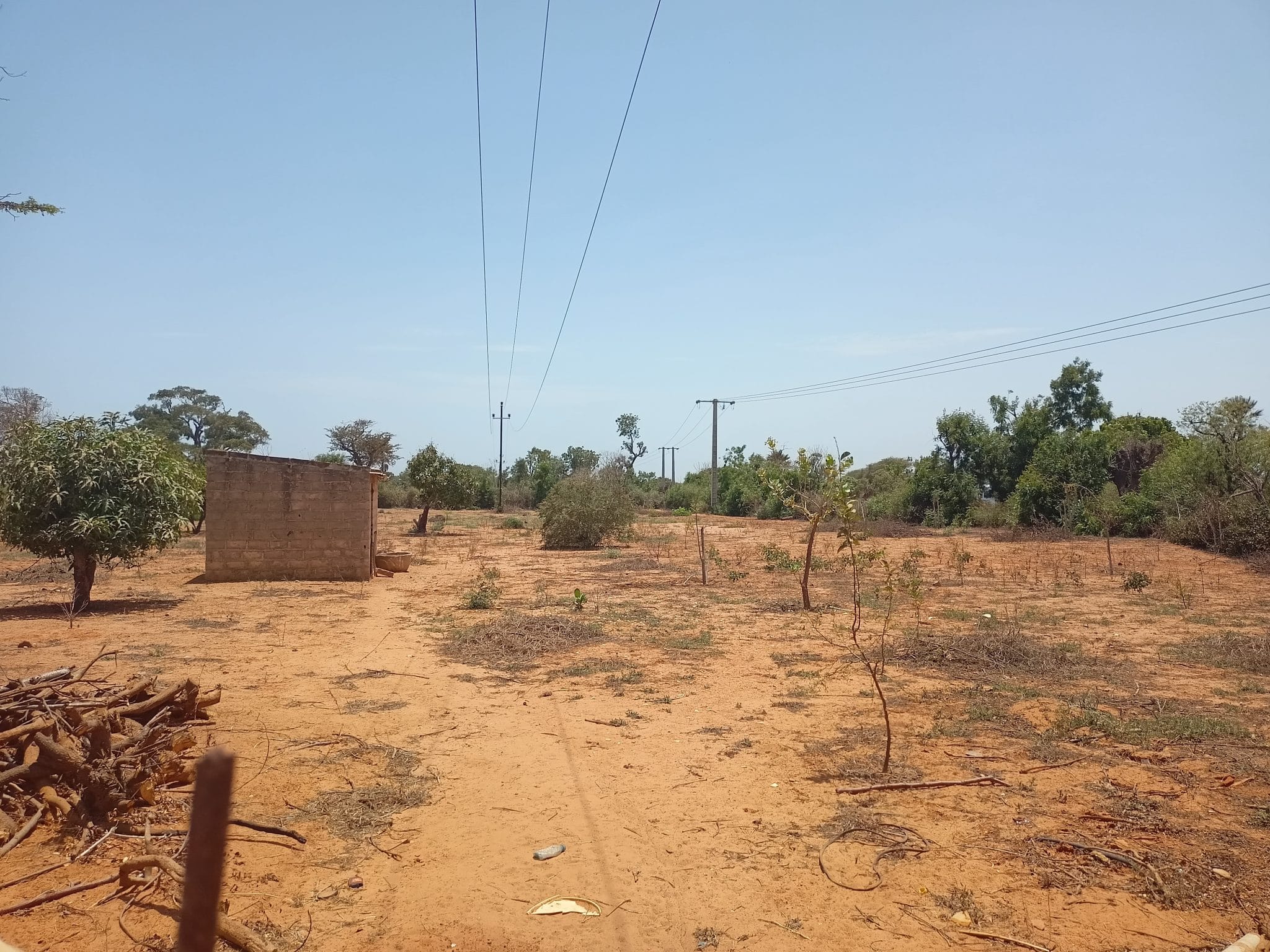 Terrain à vendre 0.5 hectares à Sebikotane Sénégal